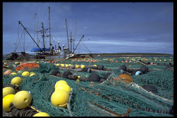250071 Port Au Choix, Canada A4 Photo Print