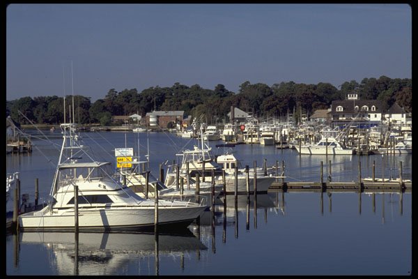 250078 Fishing Center, Virginia Beach, Virginia A4 Photo Print