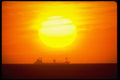 250081 Freighter At Sunset A4 Photo Print