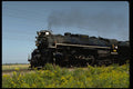 250090 Moving Train A4 Photo Print
