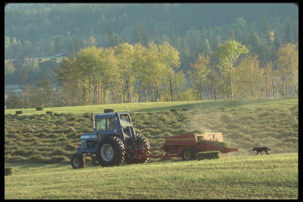251000 Baler Working, Fraser River, BC A4 Photo Print