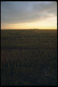 251006 Sunrise, Saskatchewan A4 Photo Print