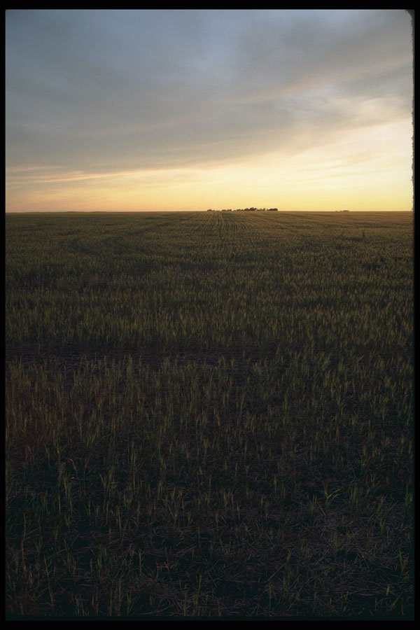 251006 Sunrise, Saskatchewan A4 Photo Print