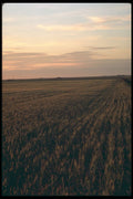 251007 Sunrise, Saskatchewan A4 Photo Print
