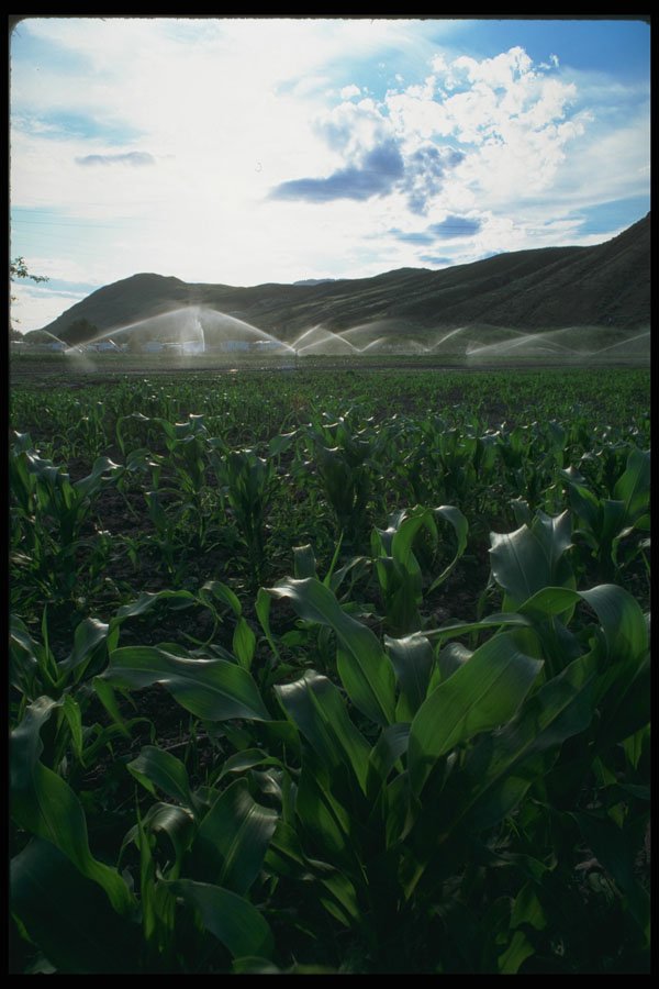 251010 Irrigation, Kamloops, BC A4 Photo Print