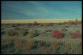 251011 Tumbleweed, Saskatchewan A4 Photo Print