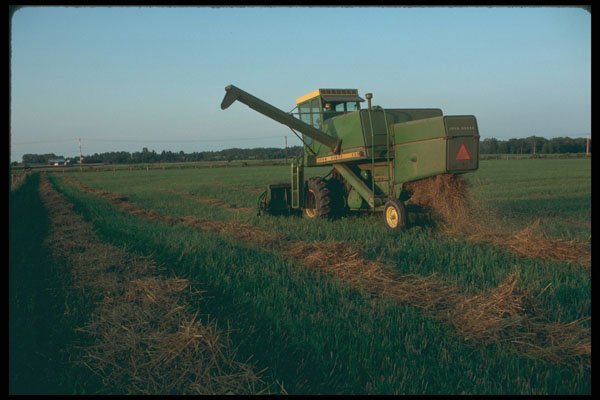251023 Combine Harvester In Shawville, Quebec A4 Photo Print