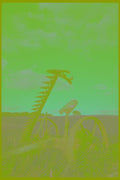251026 Antique Mower In Starks Corners, Quebec A4 Photo Print