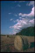 251030 Round Bales In Gatineau, Quebec A4 Photo Print