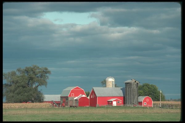 251032 Farm Scene In Stittsville, Ontario A4 Photo Print