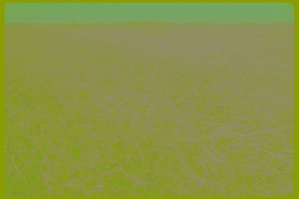 251049 Grain Stubble, Saskatchewan A4 Photo Print