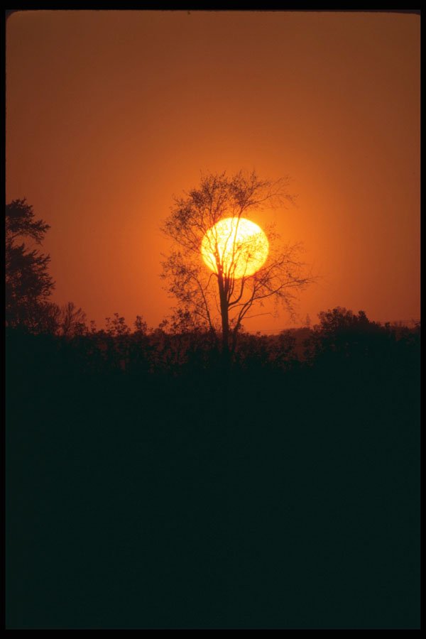251058 Sunset A4 Photo Print