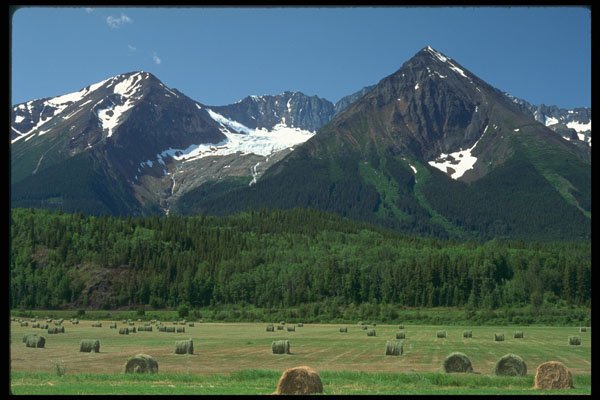 251087 Chetwynd Mountains And Round Hay Bales, BC A4 Photo Print