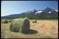 251090 Chetwynd Mountains And Round Hay Bales, BC A4 Photo Print