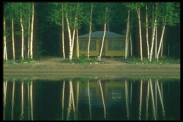 252003 Cottage Among The Birches A4 Photo Print