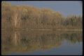 252005 Spring Colors A4 Photo Print