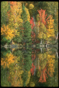 252013 Autumn Mosaic A4 Photo Print