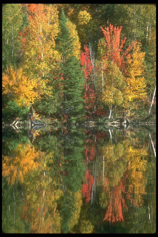252013 Autumn Mosaic A4 Photo Print