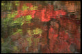 252018 Autumn Abstract A4 Photo Print