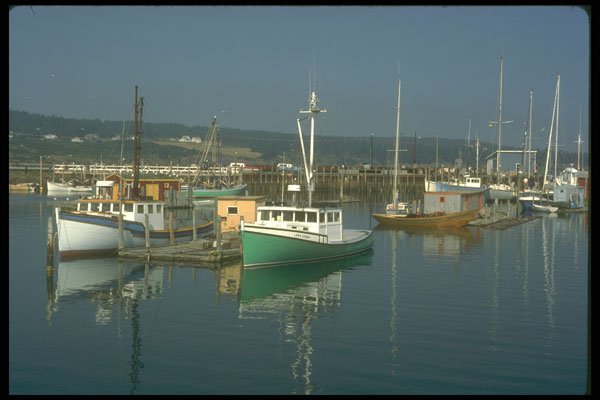 252019 Seal Cove Harbor A4 Photo Print