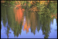 252035 Autumn Fantasy A4 Photo Print