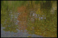 252038 Autumn Impressions A4 Photo Print