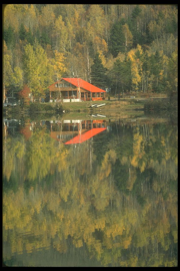 252039 Red roofed Cottage A4 Photo Print