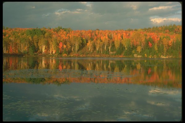 252045 Autumn View A4 Photo Print