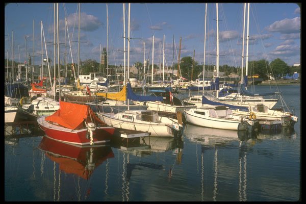 252046 Crowded Marina A4 Photo Print