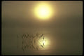 252049 Morning Mist A4 Photo Print