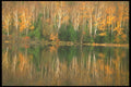 252058 October Morning A4 Photo Print