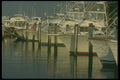 252062 Yachts A4 Photo Print