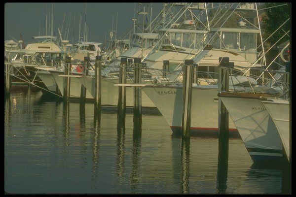 252062 Yachts A4 Photo Print
