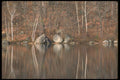 252067 The End Of A Season A4 Photo Print