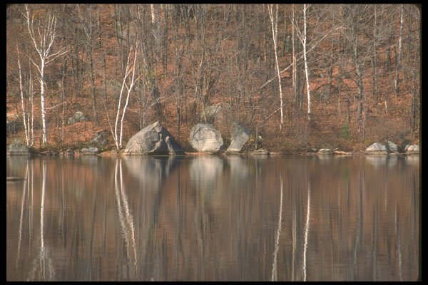 252067 The End Of A Season A4 Photo Print