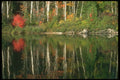 252070 A Touch Of Red A4 Photo Print