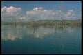 252072 Tiny Marsh Sanctuary A4 Photo Print