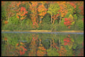 252074 A Morning In Autumn A4 Photo Print