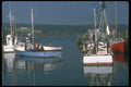 252076 Busy Harbor A4 Photo Print