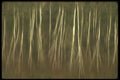 252093 Impressions Of Spring A4 Photo Print