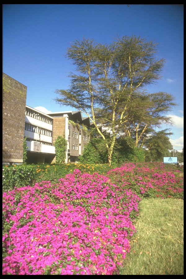 253022 University Of Nairobi A4 Photo Print