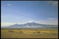 253026 Amboseli Plain And Mount Kilamanjaro A4 Photo Print