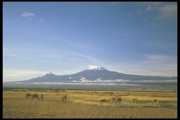 253026 Amboseli Plain And Mount Kilamanjaro A4 Photo Print