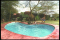 253034 Amboseli Serena Lodge A4 Photo Print