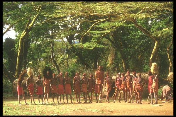 253043 Masai Warriors Performing Traditional Dances A4 Photo Print