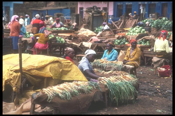 253058 Vegetable Market A4 Photo Print