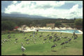 253079 Maribou Storks And Ibis A4 Photo Print