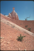 254008 View On The Trail A4 Photo Print