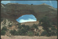 254015 Wilson Arch A4 Photo Print