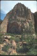 254019 Trail To Zion Overlook A4 Photo Print